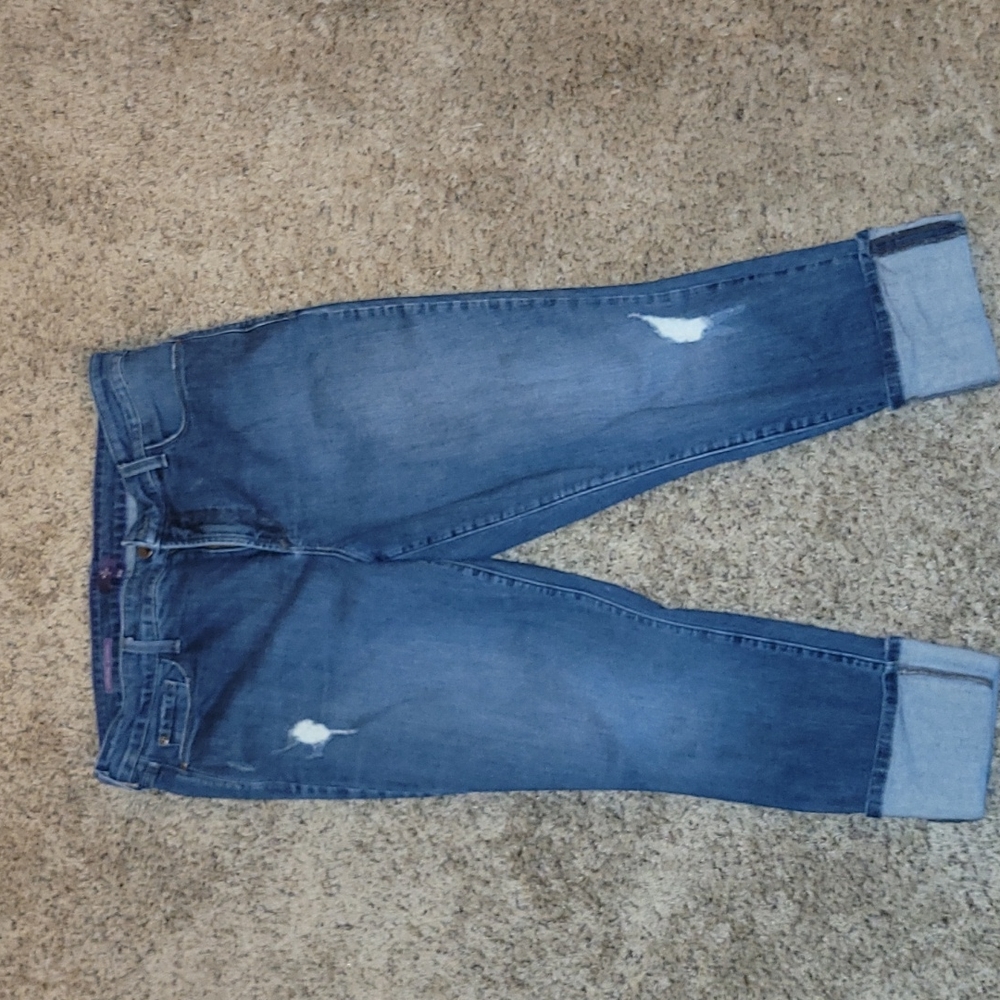 Lorena capri jeans in 16W